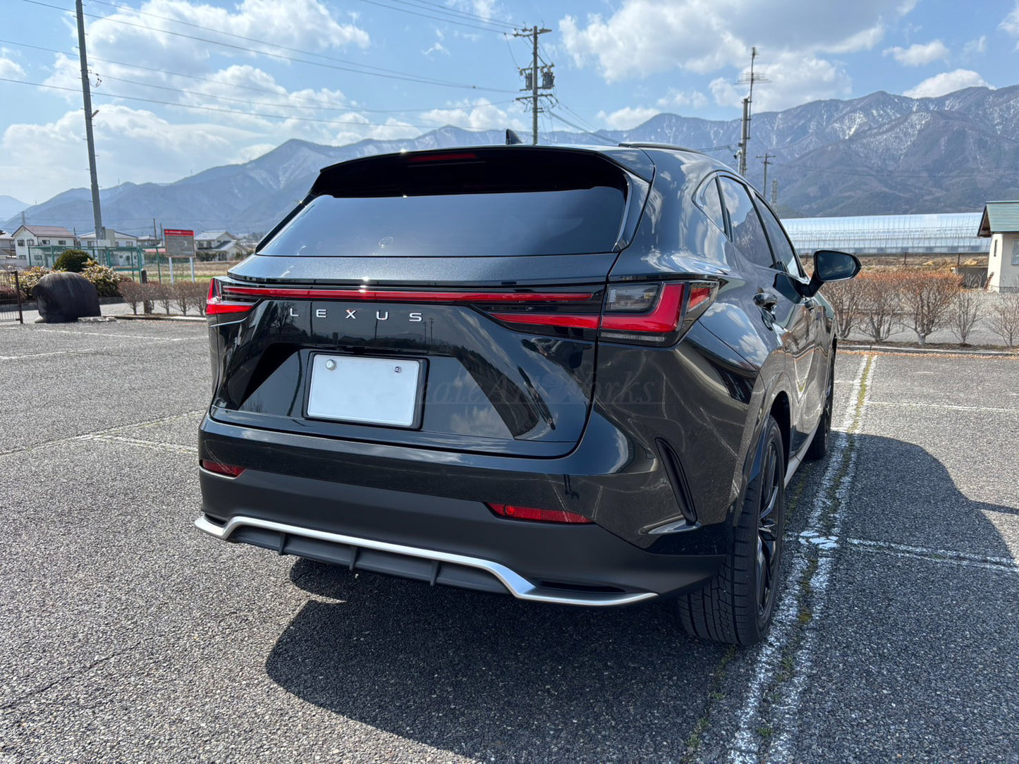 【LEXUS NX 20系】専用 見えないくん　