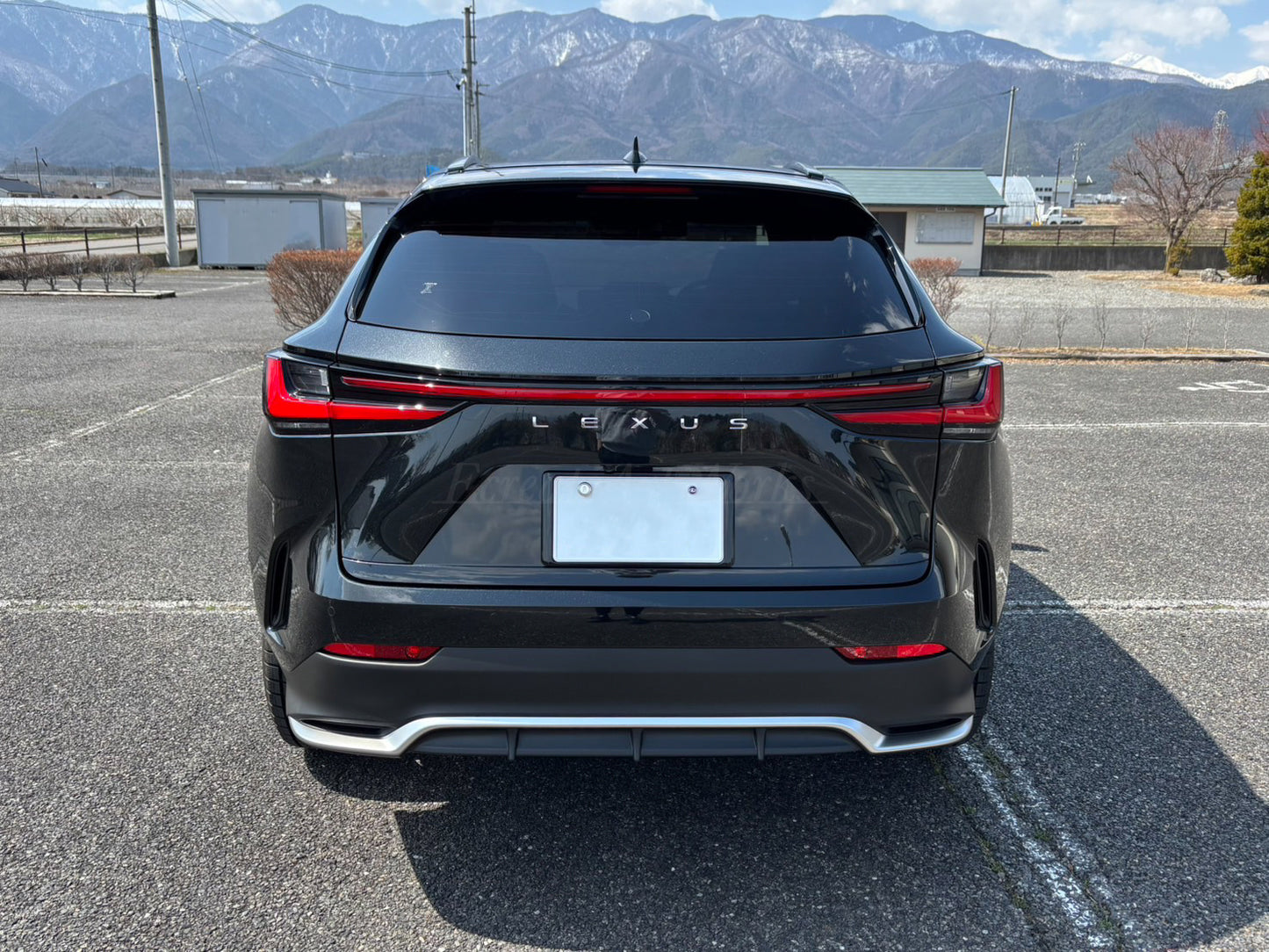 【LEXUS NX 20系】専用 見えないくん　