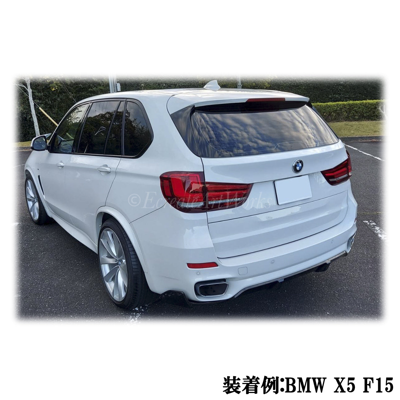 【BMW X5 F15】専用 見えないくん